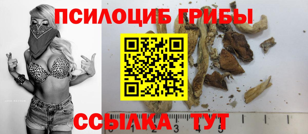 Псилоцибиновые грибы Cubensis Новоалтайск